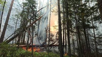В уральском заповеднике "Денежкин камень" продолжают бороться с двумя пожарами