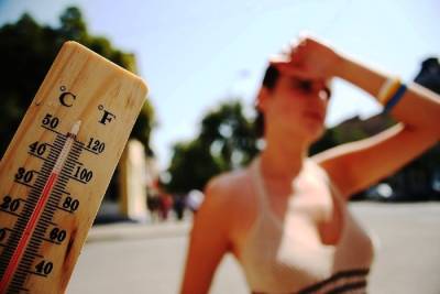 Костромские рекорды: вчерашняя жара оказалась уникальной