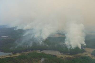 Специалисты из лесопожарного центра в Сибири будут тушить лесные пожары в Забайкалье
