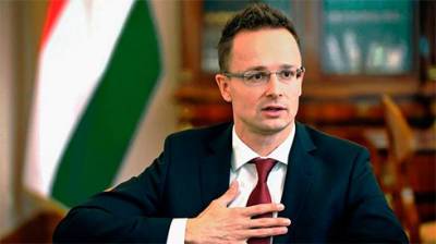 Петер Сийярто - Глава МИД Венгрии пожаловался в ПАСЕ на украинский «Миротворец» - bin.ua - Венгрия