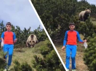 12-летний мальчик встретил в лесу медведя и именно эта верная реакция спасла ему жизнь