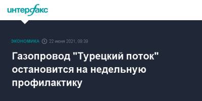 Газопровод "Турецкий поток" остановится на недельную профилактику