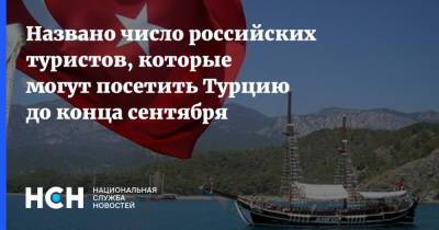 Майя Ломидзе - Названо число российских туристов, которые могут посетить Турцию до конца сентября - nsn.fm - Турция