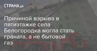 Причиной взрыва в пятиэтажке села Белогородка могла стать граната, а не бытовой газ