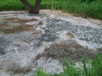 Экологи обнаружили источник загрязнения в Недостоево