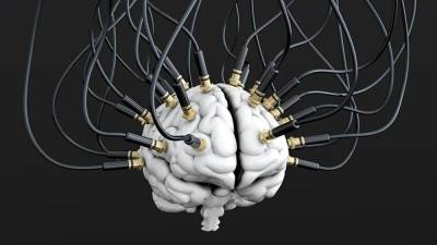 В России разрабатывают госпрограмму чипирования мозга человека