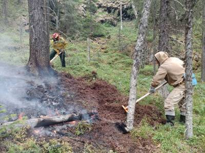 Площадь двух пожаров в заповеднике «Денежкин Камень» превысила 114 гектаров