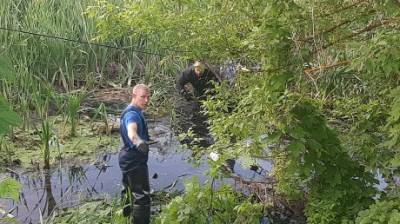 В пруду в Богословке обнаружили тело пропавшего без вести мужчины