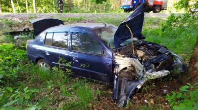 В Лельчицком районе водитель уснула за рулем и врезалась в дерево