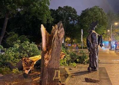 В центре Одессы упавшее дерево чудом не задело памятник Вере Холодной (фотофакт)