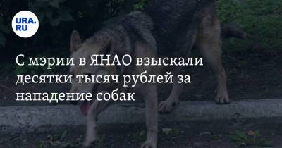 С мэрии в ЯНАО взыскали десятки тысяч рублей за нападение собак