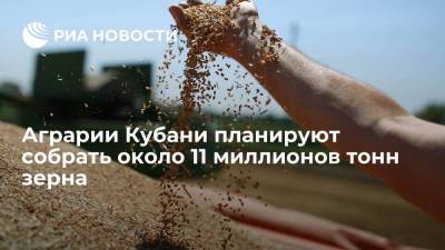 Аграрии Краснодарского края планируют собрать около 11 миллионов тонн зерна в 2021 году