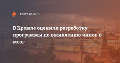 В Кремле оценили разработку программы по вживлению чипов в мозг