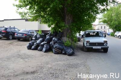 "Не надо излишне увлекаться кнутом, но иногда это необходимо": Матвиенко поддержала запрет на выброс мусора из машин