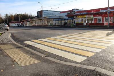 10 псковских улиц обустроят для комфортного передвижения маломобильных граждан