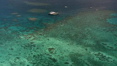Австралия и ЮНЕСКО поссорились из-за рифа