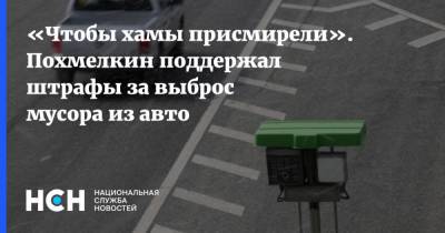 Виктор Похмелкин - «Чтобы хамы присмирели». Похмелкин поддержал штрафы за выброс мусора из авто - nsn.fm - Москва