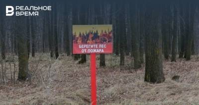 В Татарстане авиапатруль следит за пожарной ситуацией в лесах