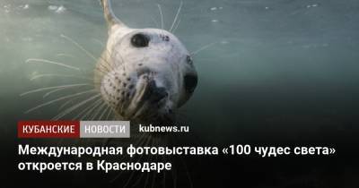 Международная фотовыставка «100 чудес света» откроется в Краснодаре