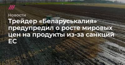 Трейдер «Беларуськалия» предупредил о росте мировых цен на продукты из-за санкций ЕС
