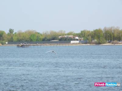 Треть водоемов в Ростовской области не прошли контроль качества воды