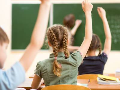 В Украине возросло число детей на инклюзивном образованиии – замминистра