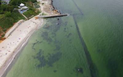 Стало "зеленым": в Одессе "зацвело" море из-за мусора