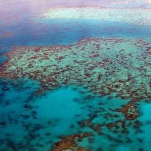 ЮНЕСКО: Большой Барьерный риф в опасности из-за изменения климата