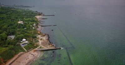 "50 оттенков зеленого": в Одессе "зацвело" море (ФОТО, ВИДЕО)