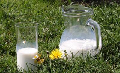 Postimees (Эстония): эстонский ученый рассказал, представляет ли молоко вред для организма человека