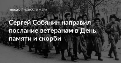 Сергей Собянин направил послание ветеранам в День памяти и скорби