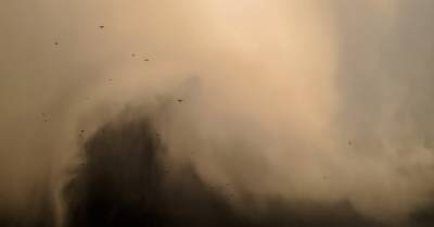 В Киеве снова пылевая буря: облако пыли принесло из России (ВИДЕО)