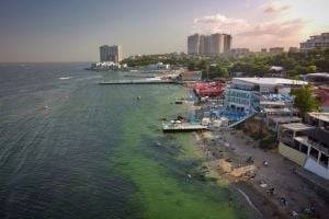 Из-за бактерий Черное море в Одессе стало зеленым. ВИДЕО