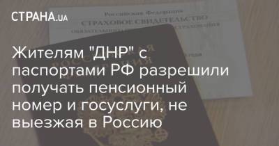 Жителям "ДНР" с паспортами РФ разрешили получать пенсионный номер и госуслуги, не выезжая в Россию