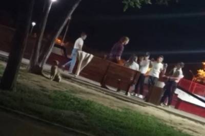 В Астрахани возбудили уголовное дело по факту массовой драки в скейт- парке