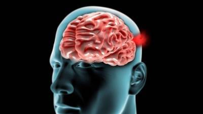 В Минобрнауки опровергли данные о программе правительства по «чипированию мозга»