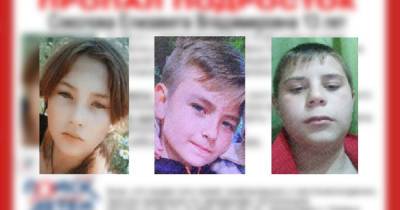 В Липецкой области пропали два мальчика и девочка