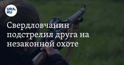 Свердловчанин подстрелил друга на незаконной охоте