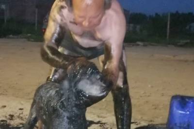 В Тверской области двух собак спасли от смерти в мазуте