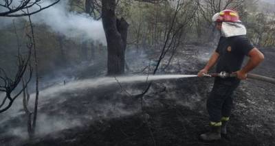 Спасатели принимают меры по недопущению пожаров в Кахети