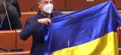 Комитет ПАСЕ не будет наказывать Гончаренко за украинский флаг и вопрос о Путине
