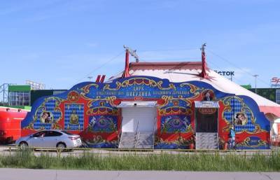 «Секреты циркового искусства» раскрыли в Дзержинске