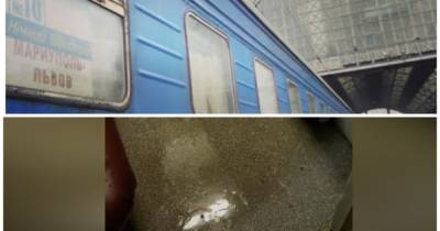 Пассажиров поезда "Львов - Мариуполь" из-за дырявого потолка залило дождем (видео)