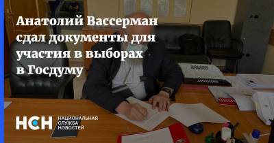 Анатолий Вассерман сдал документы для участия в выборах в Госдуму