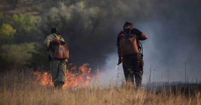 Спасатели объявили в Украине самый высокий уровень пожарной опасности