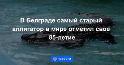 В Белграде самый старый аллигатор в мире отметил свое 85-летие