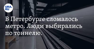 В Петербурге сломалось метро. Люди выбирались по тоннелю. Видео