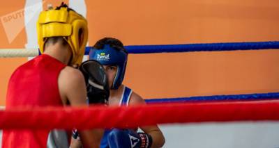Два армянских боксера поборются за золото молодежного чемпионата Европы