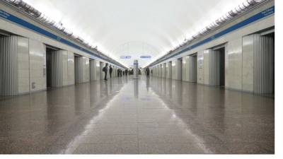 Поляков: сбой на синей ветке метро произошёл из-за аномальной жары