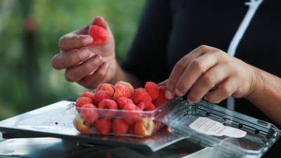 Лидия Ионова - Дарья Русакова - Диетолог рассказала о полезных свойствах ягод - russian.rt.com